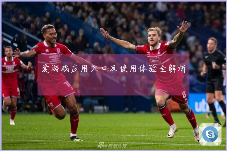 爱游戏应用入口及使用体验全解析
