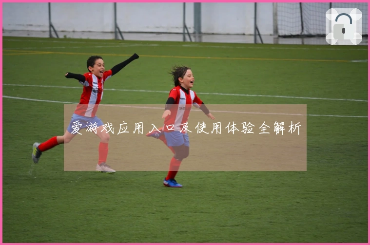 爱游戏应用入口及使用体验全解析