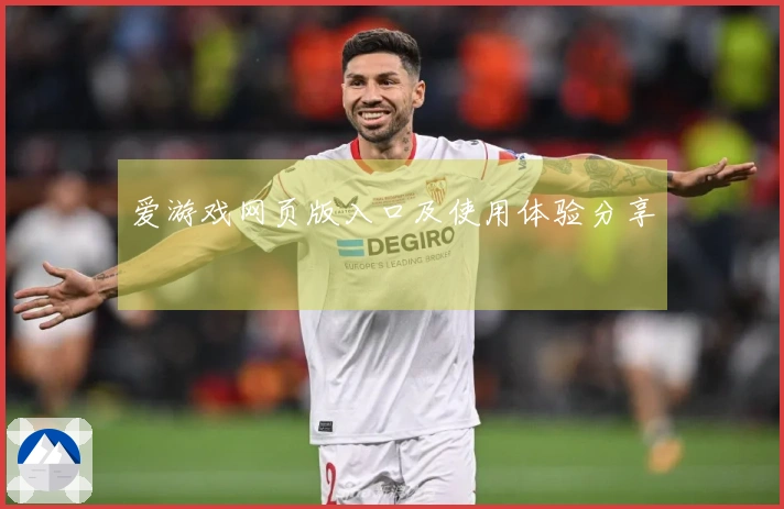 爱游戏网页版入口及使用体验分享